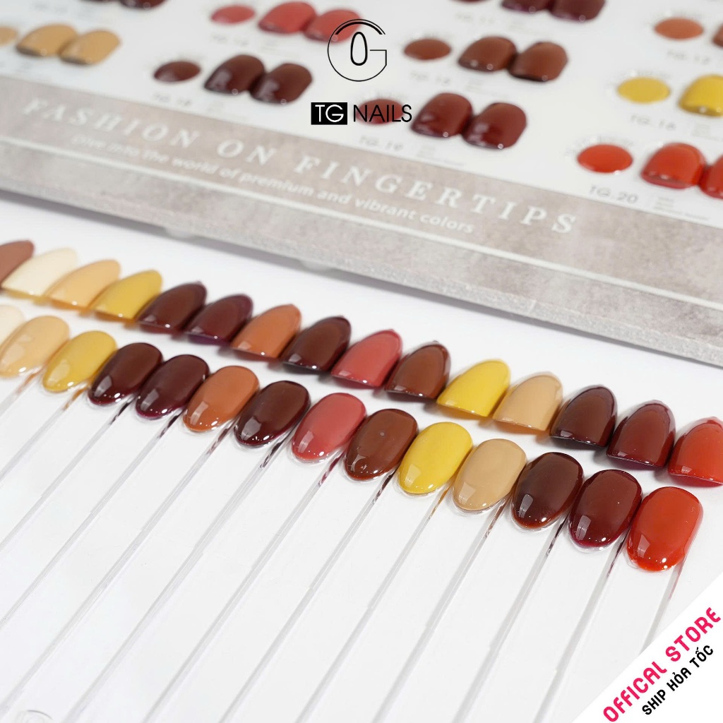 Set sơn gel 20 màu nâu cao câp thương hiệu TG