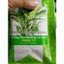 Hạt Giống Rau Muống Lá Lớn ( gói 100gr), Rau Ăn Lá Rạng Đông Rado 13, Hạt Nảy Mầm Nhanh, Mạnh, Date Mới Nhất