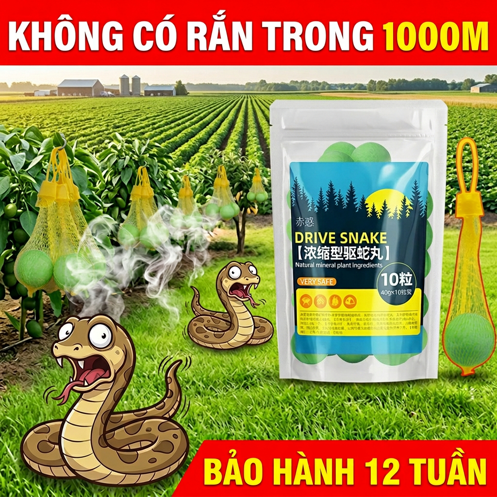 🐍50 năm không có rắn, thuốc chống rắn, thuốc xua đuổi rắn, lưu huỳnh xua đuổi rắn, 1 viên sử dụng được 3 năm