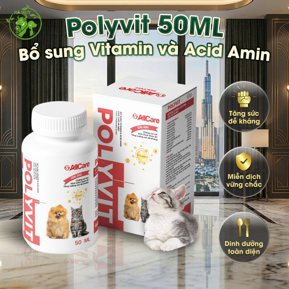 Vitamin Polyvit AllCare Cho Chó Mèo 50ml – Bổ Sung Dinh Dưỡng, Hỗ Trợ Ăn Uống, Phù Hợp Dùng Hàng Ngày