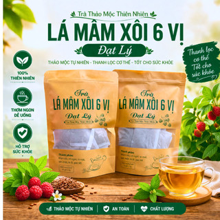 Trà lá mâm xôi 6 vị túi 35 gói lọc vị tự nhiên thanh mát