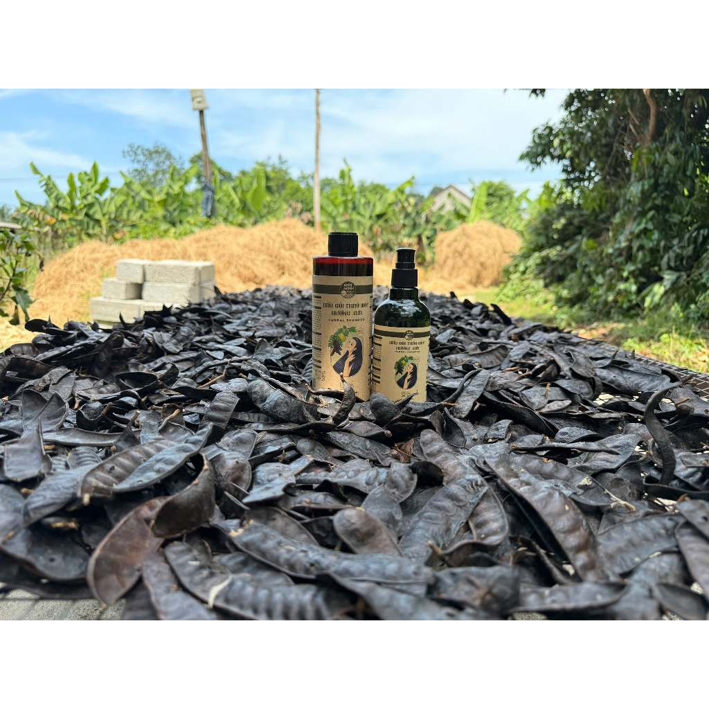 Dầu Gội Thảo Mộc Hương Xưa Với Bồ Kết Và Thảo Mộc Cô Đặc - Giảm Gàu, Rụng, Nấm Ngứa, Kích Thích Mọc Tóc