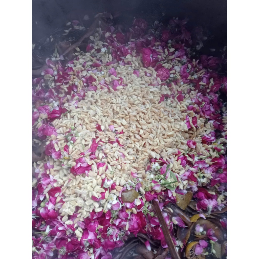 Dầu Gội Thảo Mộc Hương Xưa Với Bồ Kết Và Thảo Mộc Cô Đặc - Giảm Gàu, Rụng, Nấm Ngứa, Kích Thích Mọc Tóc