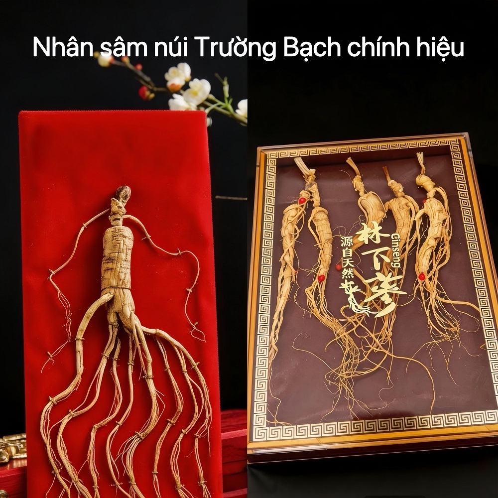 Nhân Sâm Khô Núi Cát Lâm - Thảo Dược Quý Cho Cuộc Sống, Bổ Khí, Dưỡng Nhan, Tăng Cường Sức Khỏe - Quà Biếu Đẳng Cấp
