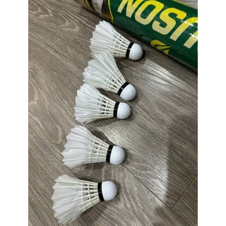 Ống Cầu Lông Duson Chất Liệu Lông Ngỗng Tự Nhiên Hộp 10-12 Quả Đại Nam Sport