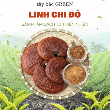 Nấm Linh Chi Đỏ Tự Nhiên 100% – Linh Chi Rừng Nguyên Tai Sấy Khô – Tăng Cường Sức Khỏe, Thanh Lọc Cơ Thể