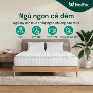 Mosswood 20cm Nệm Foam Lò xo túi độc lập, giảm tiếng ồn, hỗ trợ cột sống