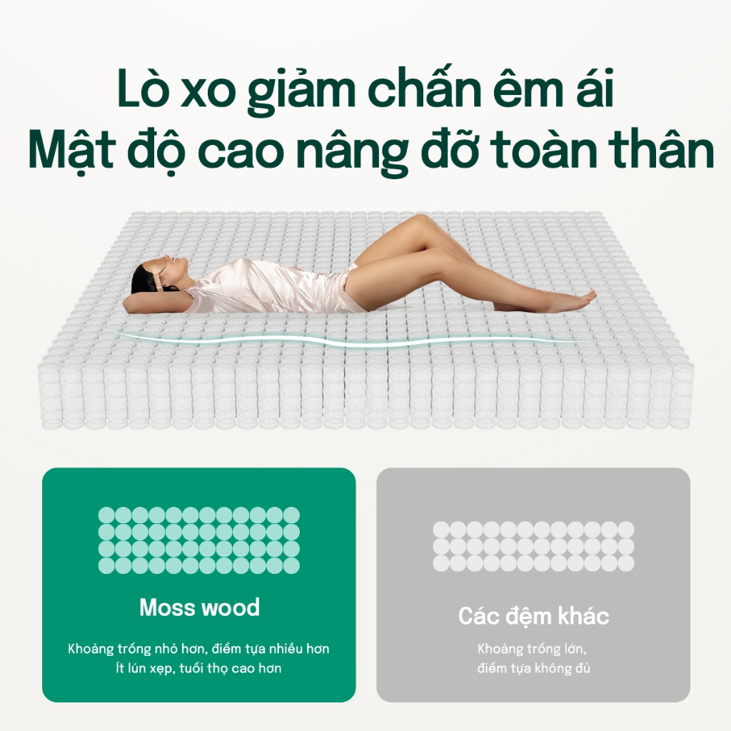 Đệm Lò Xo Túi Độc Lập MOSSWOOD - Chống Xáo Trộn 100%, Không Ảnh Hưởng Người Dịnh, Giảm Đau Lưng