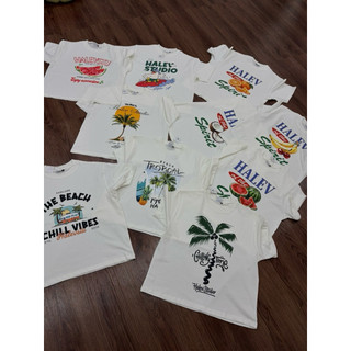 [SUMMER BOXY COLLECTION] Áo thun Boxy mùa hè Nam Nữ Halev Brand chất Cotton Premium 260gsm