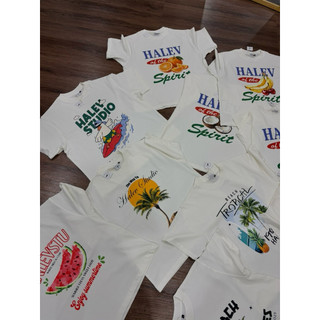 [SUMMER BOXY COLLECTION] Áo thun Boxy mùa hè Nam Nữ Halev Brand chất Cotton Premium 260gsm