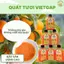 Sốt Chấm Quất VietGAP OCOP 3 Sao – Sốt Quất Tự Nhiên Chua Cay Mặn Ngọt, Không Phụ Gia, Không Chất Bảo Quả