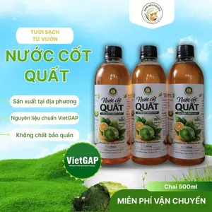 Nước Cốt Quất Đường Phèn 500ml VietGAP – Nước Quất Nguyên Chất Từ Vườn 3.6ha