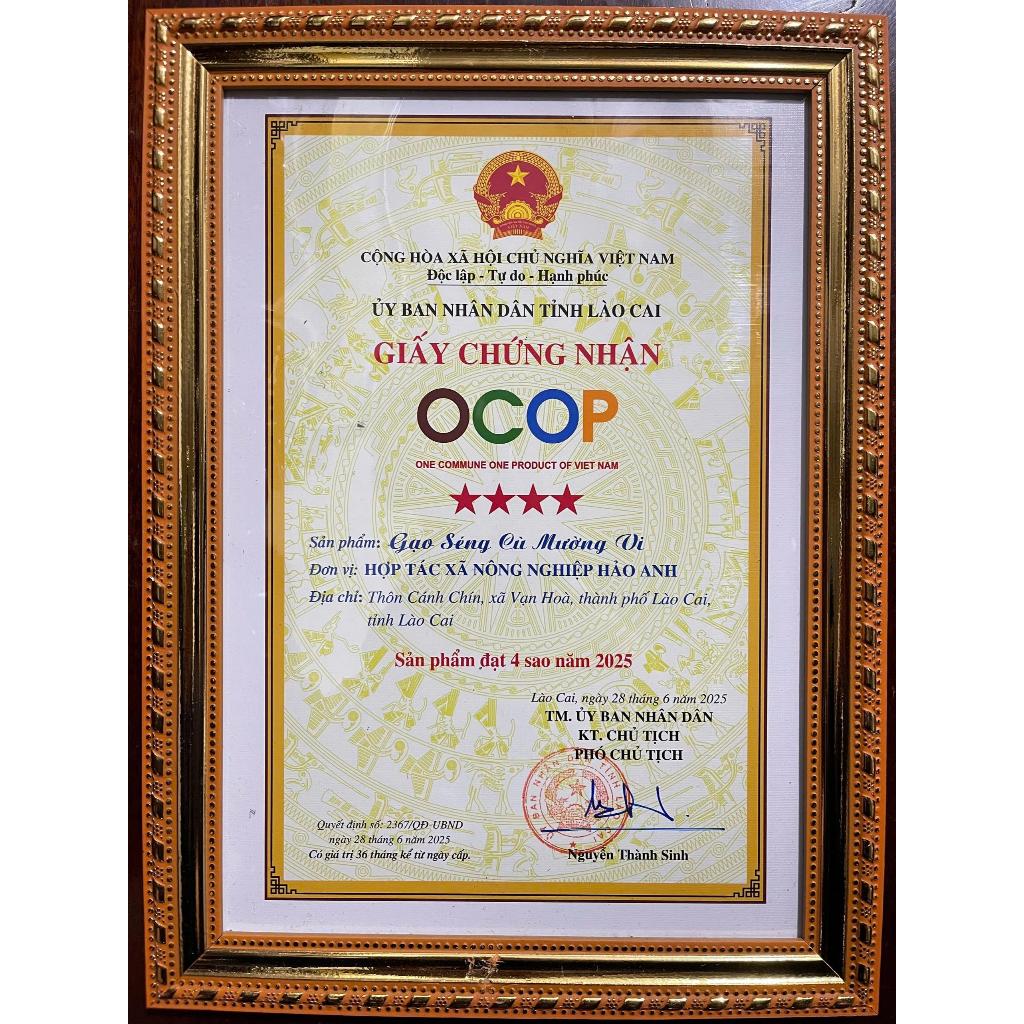 Gạo Séng Cù Mường Vi OCOP 4 Sao- Gạo Đặc Sản Tây Bắc Thơm Dẻo Ngon