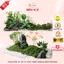Rêu Sợi Dùng Trang Trí Chậu Hoa, Trang Trí Tiểu Cảnh, Trang Trí Nhà Cửa, Làm Đồ Handmade-Yenstorediy