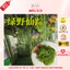 Rêu Sợi Dùng Trang Trí Chậu Hoa, Trang Trí Tiểu Cảnh, Trang Trí Nhà Cửa, Làm Đồ Handmade-Yenstorediy