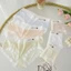 Combo 10c quần lót nữ su băng lụa hoa trà mát lạnh cao cấp màu pastel thông thoáng thấm hút mồ hôi