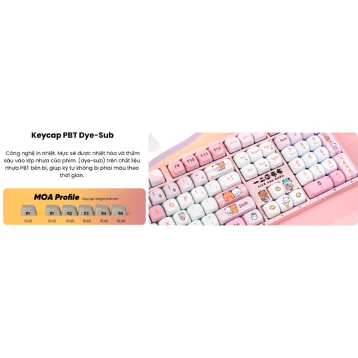 Bàn phím cơ AKKO 3108RF V3 (Hàng chính hãng) | BigBuy360 - bigbuy360.vn