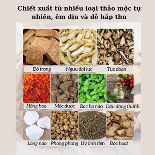 Dầu gió xoa bóp đả thông kinh lạc HONGKONG cổ truyền 50ml - Giảm đau nhức xương khớp,vai gáy, giảm mỏi nhanh, đau lưng