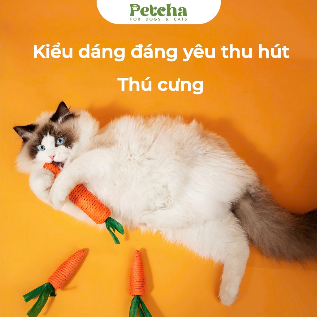 Đồ chơi dây thừng hình cà rốt | PETCHA cho chó mèo – gặm nhai an toàn, vệ sinh răng miệng, giảm buồn chán