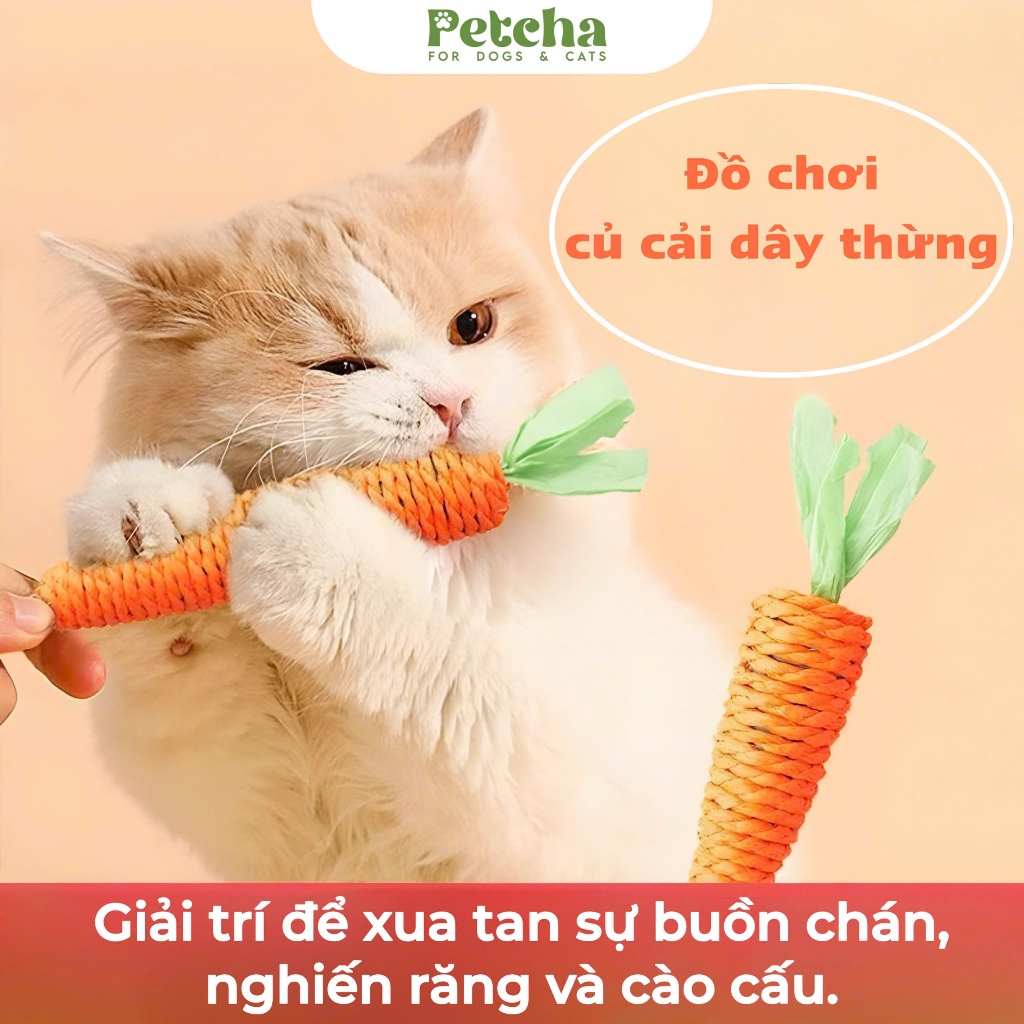 Đồ chơi dây thừng hình cà rốt | PETCHA cho chó mèo – gặm nhai an toàn, vệ sinh răng miệng, giảm buồn chán