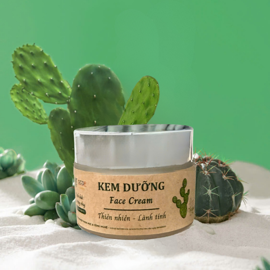 Kem dưỡng da thiên nhiên Nocas Most chiết xuất Xương rồng dưỡng ẩm da, giảm thâm nám, trắng da 50g