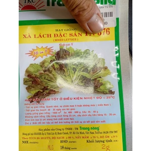 Hạt Giống Xà Lách Đặc Sản gói 2gr, Rau Ăn Lá Trang Nông TN 376, Hạt Nảy Mầm Nhanh, Mạnh