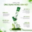 DAILY EFFECT Bột Cần Tây Diếp Cá Mật Ong Celery Houttuynia Honey Power Mix (Hộp 3 Gói x 4g)