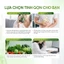 DAILY EFFECT Bột Cần Tây Diếp Cá Mật Ong Celery Houttuynia Honey Power Mix (Hộp 3 Gói x 4g)