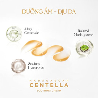 Kem dưỡng da giảm mụn Chiết Xuất Rau Má Skin1004 Madagascar Centella Soothing Cream 75ml (Mẫu mới)