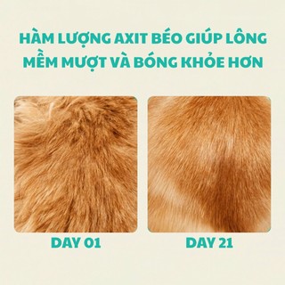 Hạt Kiss Cat Fureva Cho Mèo Túi 1kg, Thức Ăn Hạt Hàn Quốc Hỗ Trợ Tiêu Búi Lông & Mượt Lông