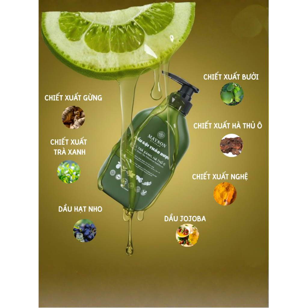 Dầu Gội Đầu Combo 2 Chai MAYSON VIỆT NAM, Dầu Gội Bưởi Trà Xanh Hà Thủ Ô Gừng Nghệ Dầu Jojoba