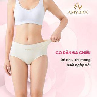 [ BST 2026 ] Quần Lót Nữ Su Lạnh Màu Basic, Quần Chip Nữ Cao Cấp Đáy Có Lót Kháng Khuẩn AMYBRA L057