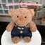 Gấu Bông Teddy Bear Mặc Yếm Thêu Tên, Teddy Cosplay Ong Dễ Thương – Thú Nhồi Bông Hợp Làm Quà Tặng