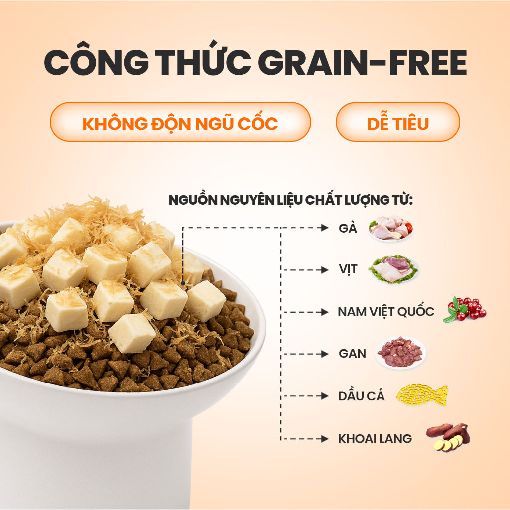 Hạt Cat's On Mix R & Mix T Cho Mèo Topping Gà Viên, Phủ Ruốc Gà, Tiêu Búi Lông, Cân Bằng Hệ Tiêu Hoá