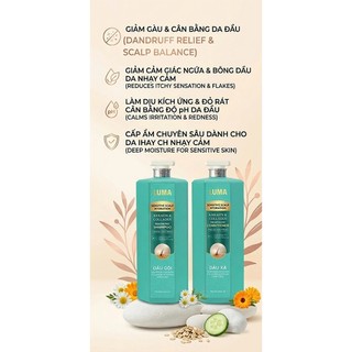 Bộ Gội Xả Cao Cấp Luma Xanh Dương Giảm Gàu 2000ml Hương Nước Hoa Sang Trọng Cho Spa Dưỡng Sinh