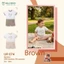 Bộ Cộc Tay Uala Hoạ Tiết Đáng Yêu Cho Bé Trai UR053 UR063 UR052 UR065 UR074 UR076 UR517 UR078 UR080