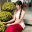 Set đồ lam, đồ cách tân mặc Tết, áo cổ tàu Gấm Hoa cột ruy băng + quần cotton lạnh dài ống rộng