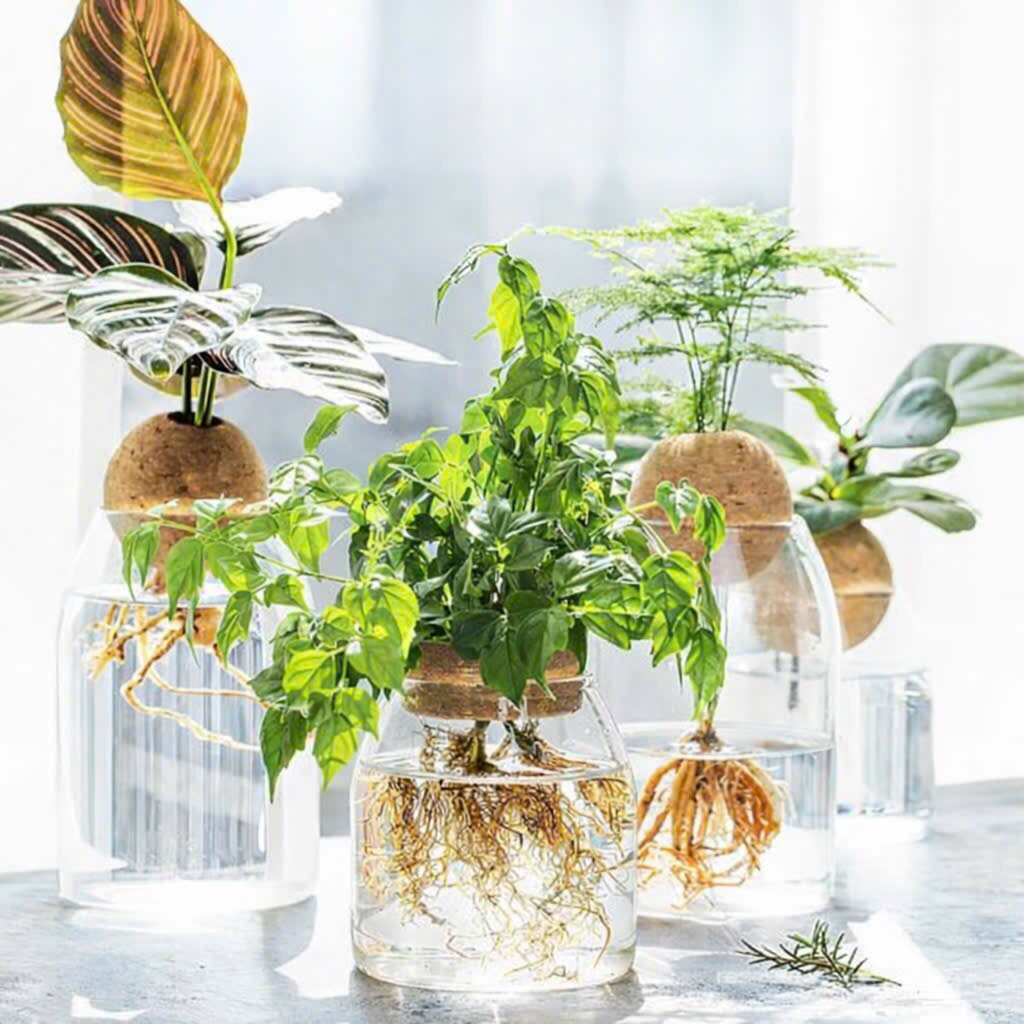 Lọ thuỷ tinh cao cấp,chịu nhiệt tốt đựng gia vị,ngũ cốc,cafe,bình cắm hoa nắp cầu.