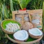 Dừa Sáp Lỏng Arifarm_ Size lớn_ Cơm mỏng nước nhiều