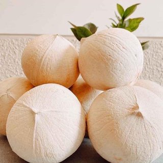 SỈ Thùng 20, 30 Trái Dừa Xiêm Gọt Trọc Trắng KACOCO - Ngọt, Mỏng vỏ, nước nhiều, giảm nhiệt, tươi mát, uống liền
