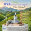 Serum axit hyaluronic kismet 30ml