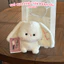 Gấu bông Thỏ nhỏ dễ thương Size 16cm - 22cm Quà tặng trẻ em, sinh nhật, người yêu - Gấu Bông Xinh Rosaria