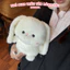 Gấu bông Thỏ nhỏ dễ thương Size 16cm - 22cm Quà tặng trẻ em, sinh nhật, người yêu - Gấu Bông Xinh Rosaria