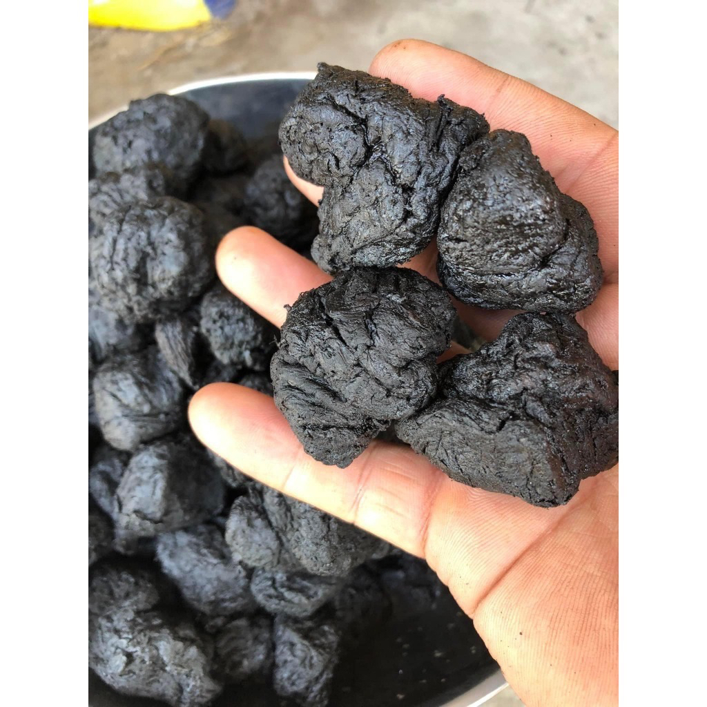 Thục Địa Khô Củ Tròn Nguyên Liệu Nấu Trà Sâm, Trà Bí Đao Giúp Thanh Nhiệt Cơ Thể