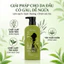 Dầu gội đầu Kiều Nương tinh chất trà xanh mần trầu sạch gàu thoáng da đầu tự nhiên Chai 500ml