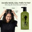 Dầu gội đầu Kiều Nương tinh chất trà xanh mần trầu sạch gàu thoáng da đầu tự nhiên Chai 500ml