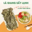 Lá giang sấy lạnh 100g, lá giang khô nguyên, không tạp chất, vị thanh chua, giải nhiệt hiệu quả