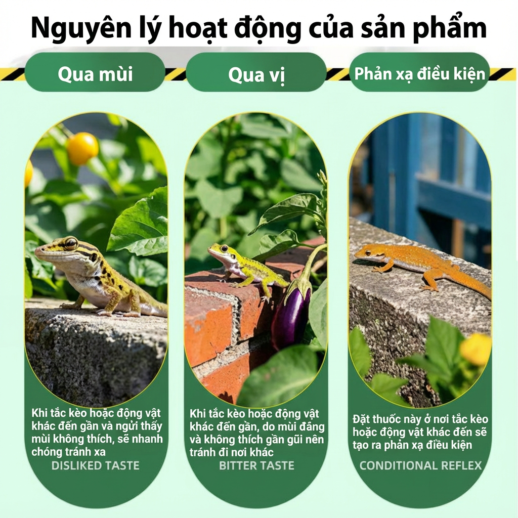🦎 100 năm không thấy thằn lằn 🦎 Thuốc xua thằn lằn 18 viên, chiết xuất thảo mộc, an toàn, dễ sử dụng