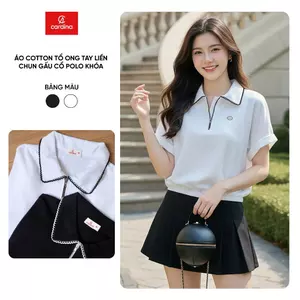 Áo polo nữ CARDINA chất cotton tổ ong tay liền chun gấu cổ khóa 6APC01