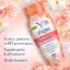 Bộ Sưu Tập Gel Vệ Sinh Phụ Nữ Vagisil Hương Hoa Quả, Kiểm Soát Mùi 24h, Cân Bằng pH